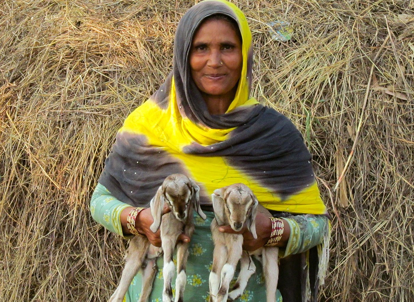 Husn Ara Khatoon with two day old kids