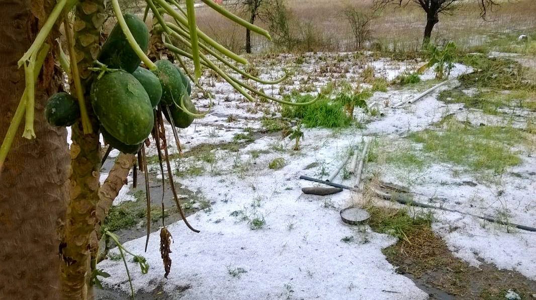 2014 hailstorm damage from Latur 