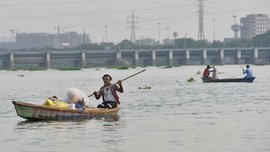 யமுனையில் 'இறந்த மீன்களும் புத்துணர்ச்சியுடன் இருக்கும்'