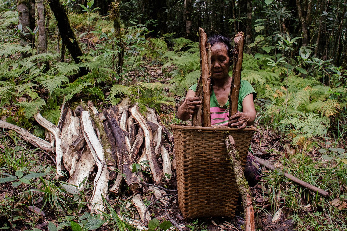 A wood-gatherer at work in a mountain-top forest in Hmuifang, Mizoram