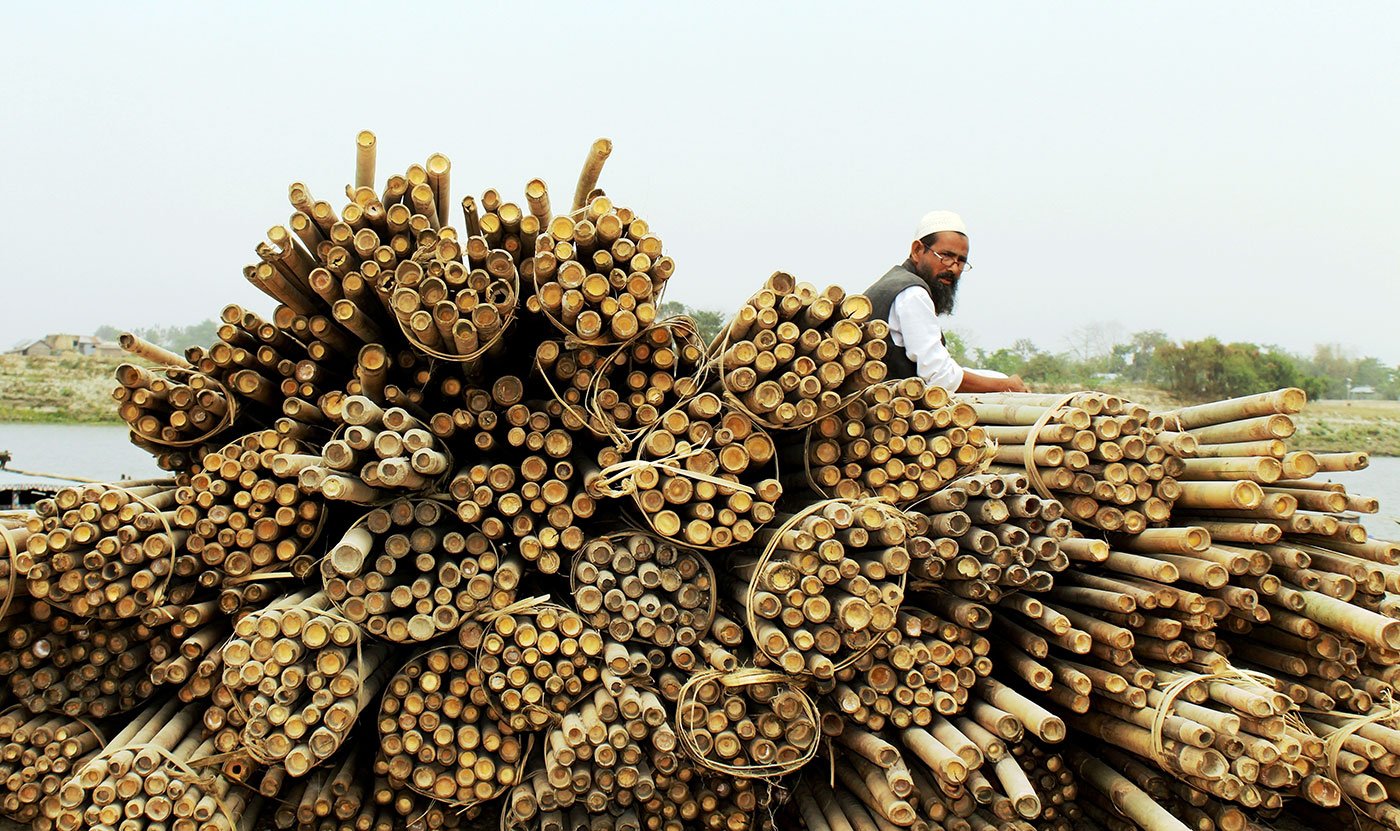 Four ferry ghats in Dhubri town connect over 350 chars on which bamboo-splitting is a common activity and means of livelihood. At least  seven  contractors run their businesses at each ghat.