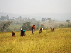 ‘We have hills and forests and we live here’