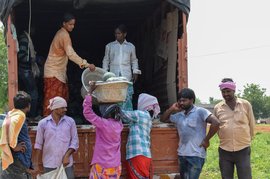 Watermelon farmers: left with no juice