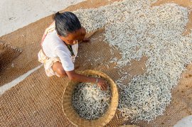 Hook, line and sinker: Malwan's fisherwomen