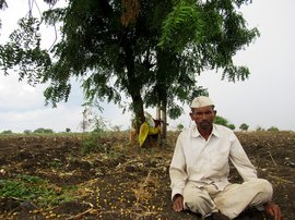 Cane and catastrophe in Osmanabad