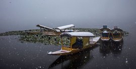 Srinagar’s shikaras: still waters run deep losses