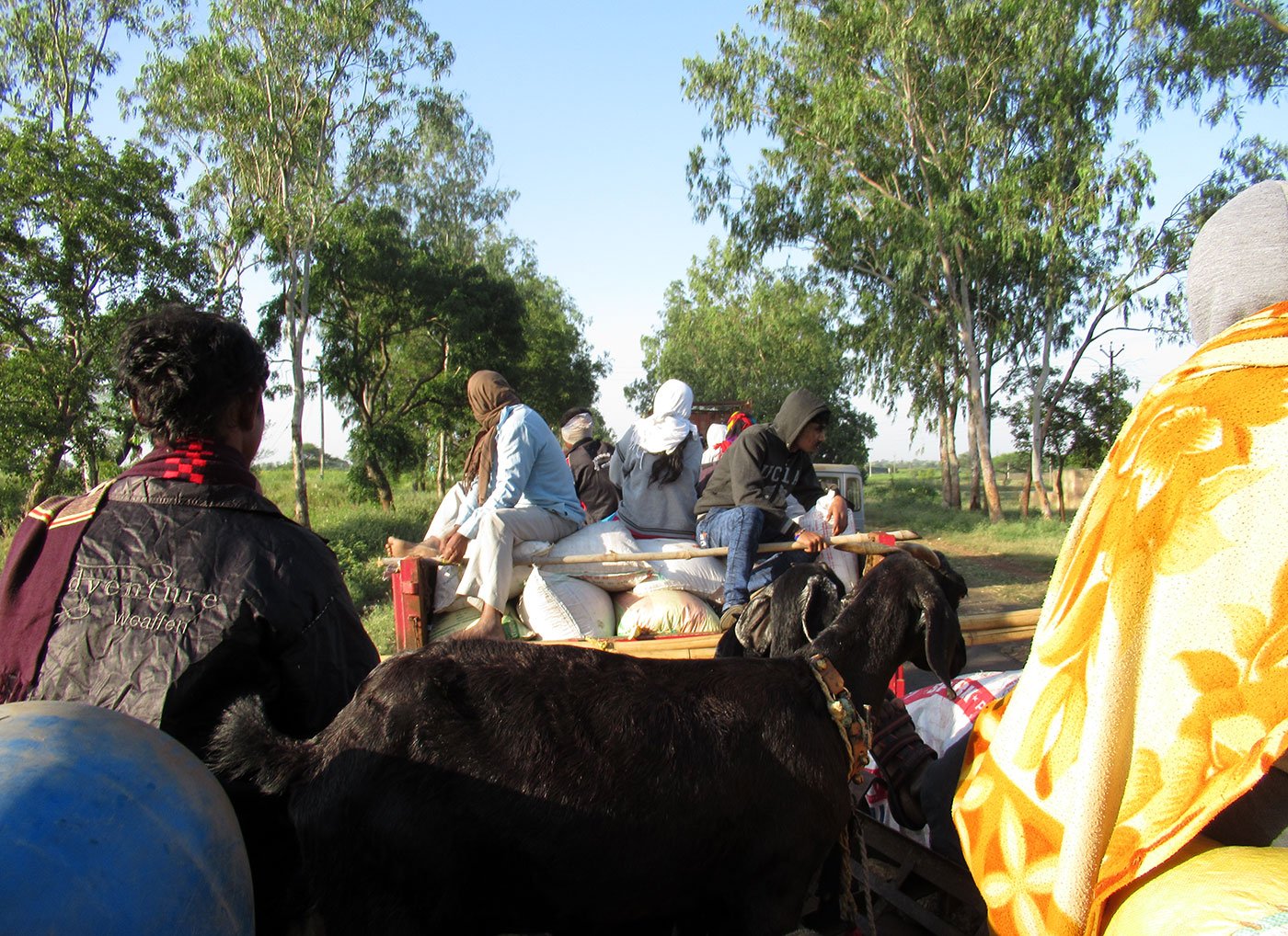 Migrants on a tractor during a journey from Beed, Maharashtra, to Western Maharashtra and Karnataka