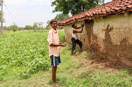 'Half-half farming': landlords win, tenants lose