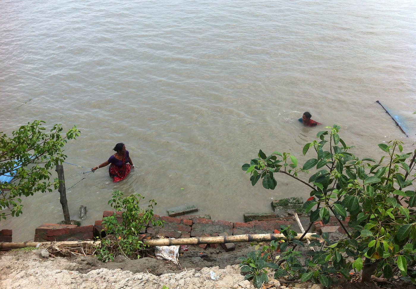 Collecting tiger prawns