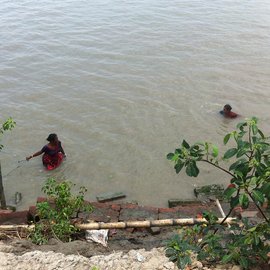 Collecting tiger prawns