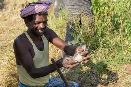 On a different route with rats in Bangalamedu