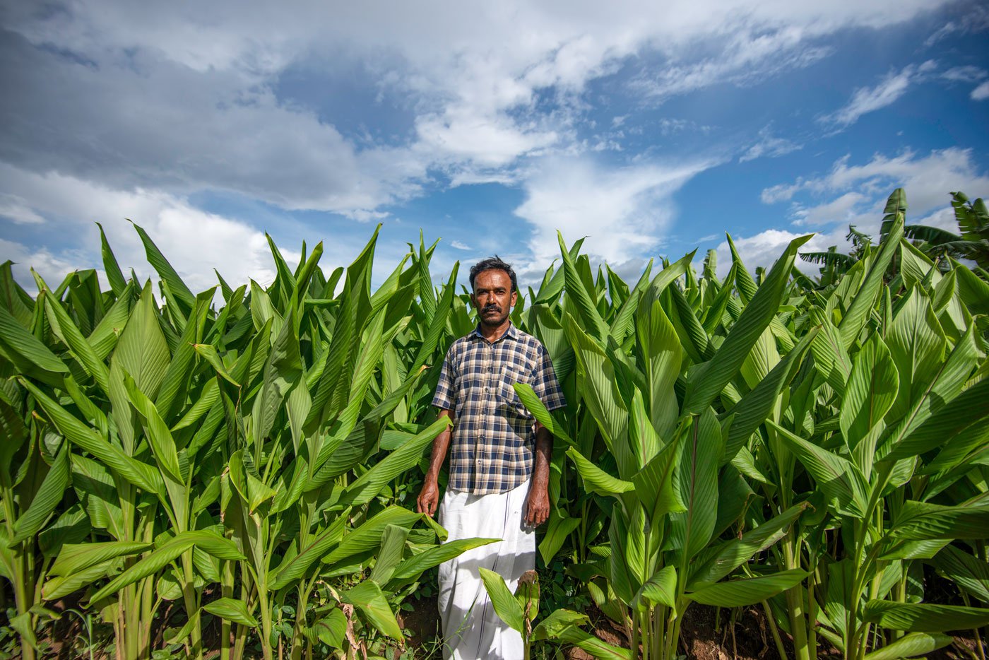 Tucked away in a tiny village in Tamil Nadu’s Erode district, turmeric farmer Thiru Murthy’s story is one of hard-earned achievement – aided by social media, abetted by ingenuity