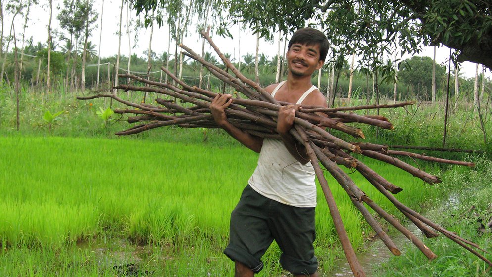 Ghani working in field