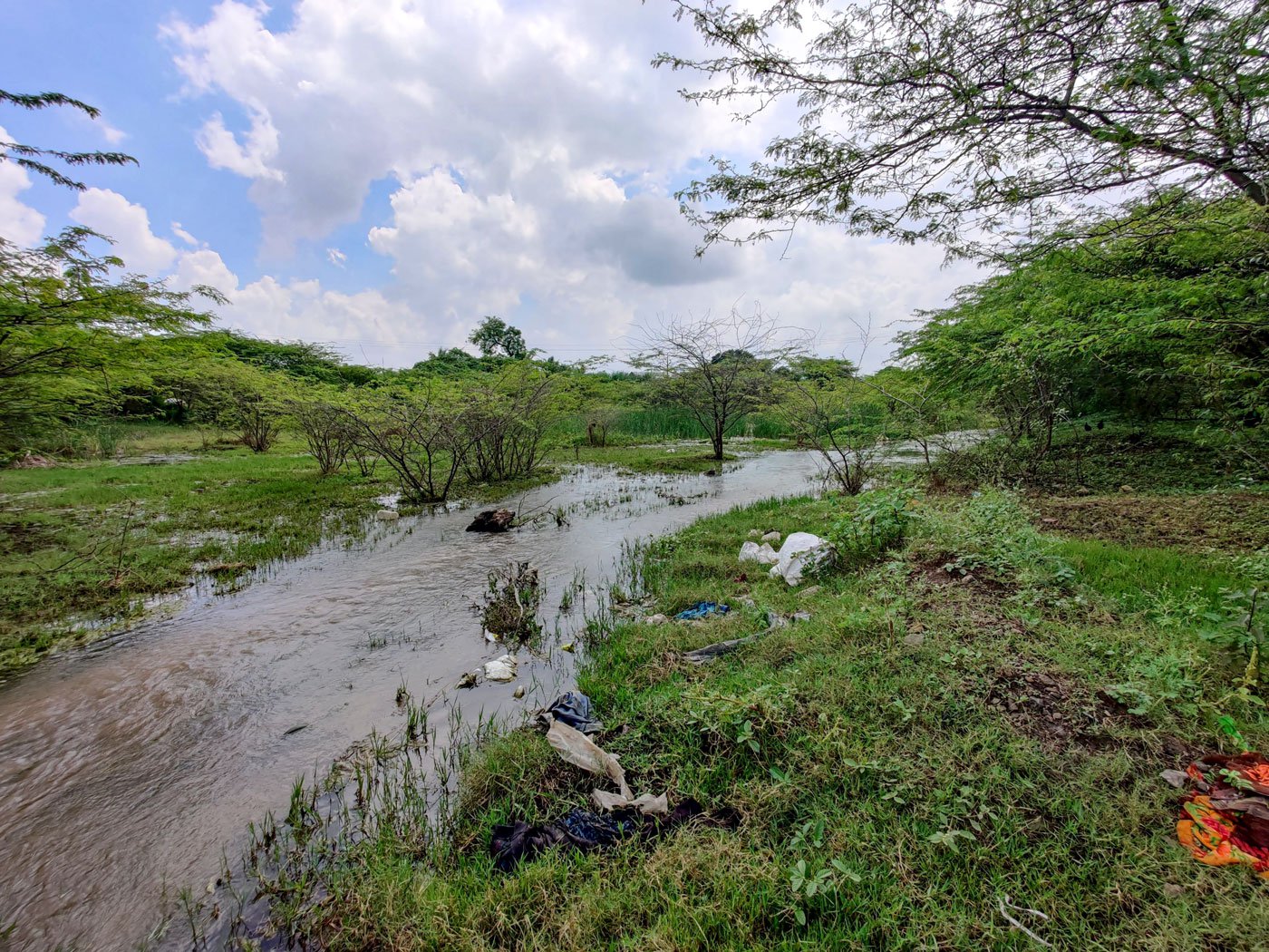 The stream where residents of the Bhil and Pardhi vasti near Kuruli village go to relieve themselves.