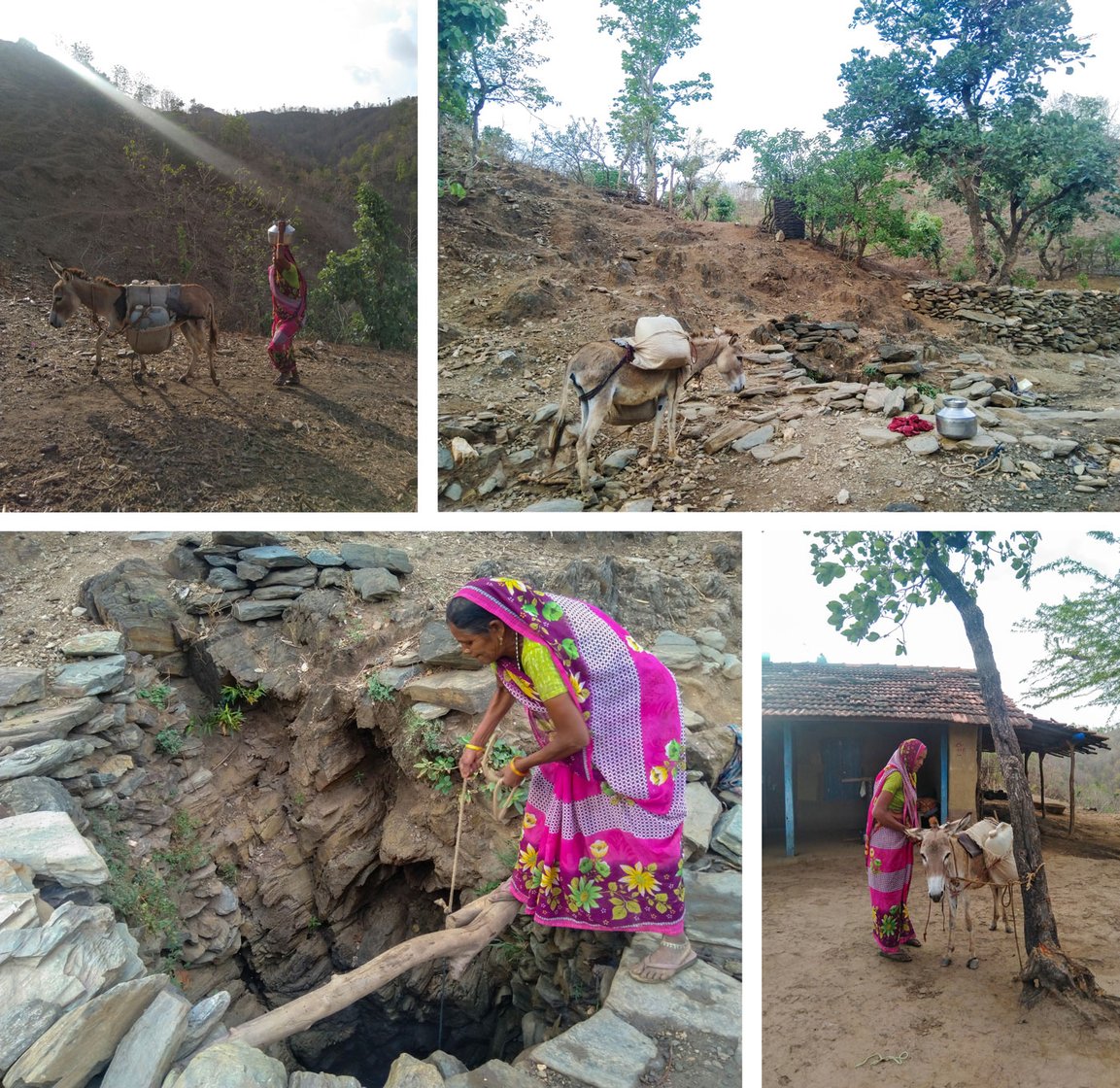 Dali Bada, who makes multiple trips downhill and uphill over several hours every morning with her donkey, to fill water from a stream or pits dug by villagers, says: "... at times I feel that there's no god; if there was one, why would women like me die filling pots with water?'