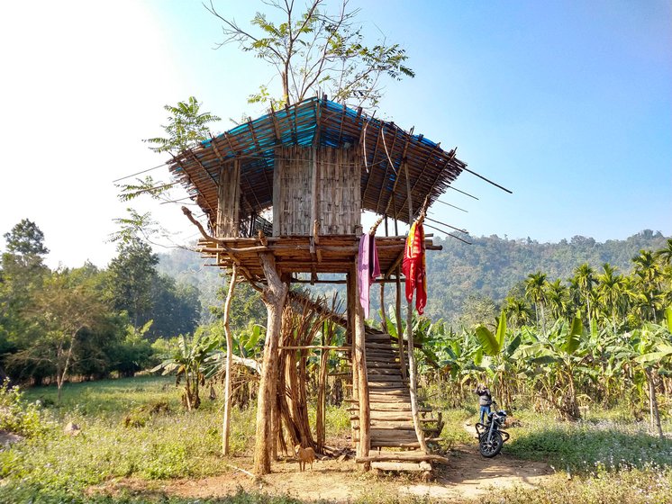 'It was the first time that Biswajit Rabha, a member of the photography group (to the right is the machan to spot elephants on his land), was seeing the ‘giants’. “I haven't seen any here [inJupangbari No. 1]. This is very rare'

