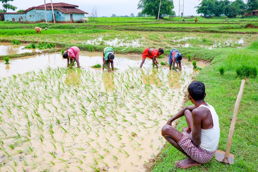 With daily wage farm labour decreasing every year, in 2018, Anita and Teera Bhuiya leased land on a batiya arrangement