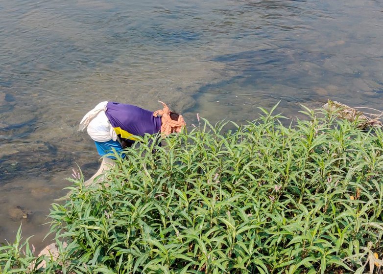 Wading the water in search of prawns, he says, ‘My father taught me the tricks of locating and catching them with my bare hands’