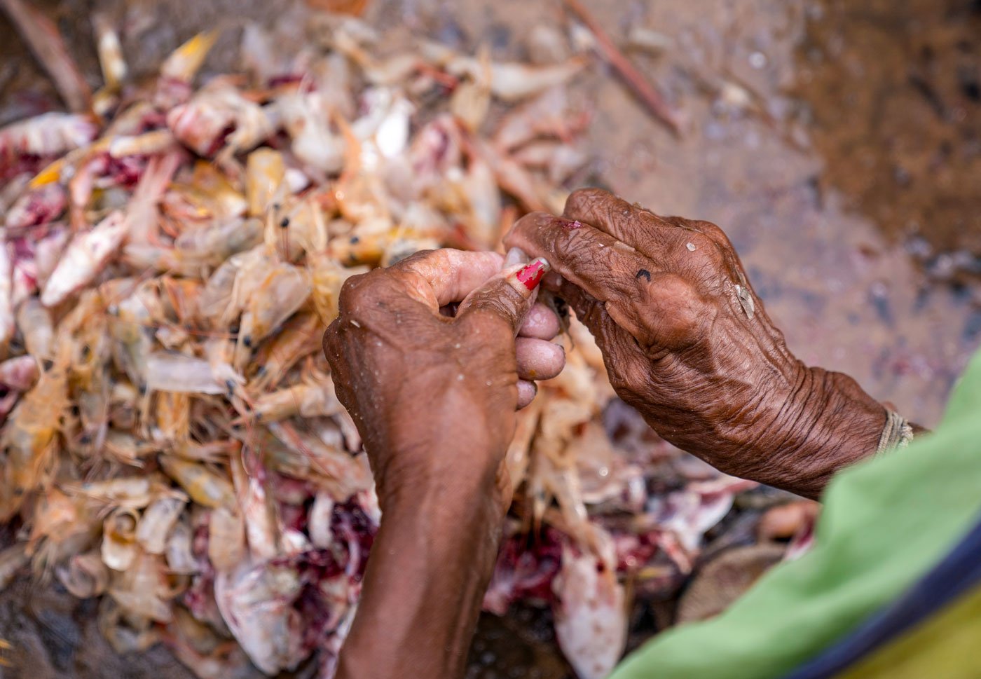 “I’d started my kazhar business at the same time [as when I began working at the harbour],” Puli says, referring to her work of collecting and selling fish waste (the scales, heads, tails of fish, shrimp shells and other parts) and bycatch (such as seashells, shrimp, squid and small fishes). This is called kazhivu meen in Tamil, and, more informally, as kazhar. Puli is one of around 10 women at this harbour who collect fish waste and sell it to poultry feed manufacturers – it's a big industry in neighbouring districts like Namakkal. From Rs. 7 for one kilo of kazhar when she started out, the rate now, Puli says, is Rs. 30 per kilo for fish, Rs. 23 for fish heads and Rs. 12 for crab kazhar.