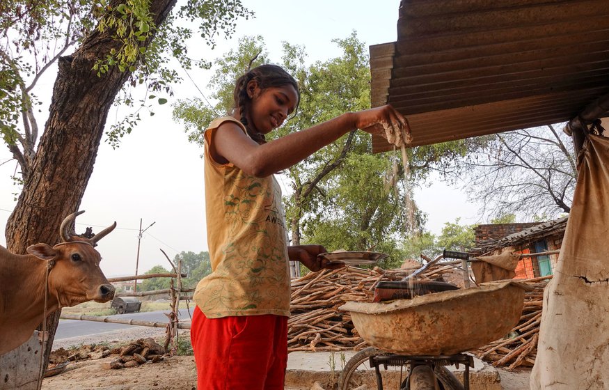 Kiran preparing the cow feed.