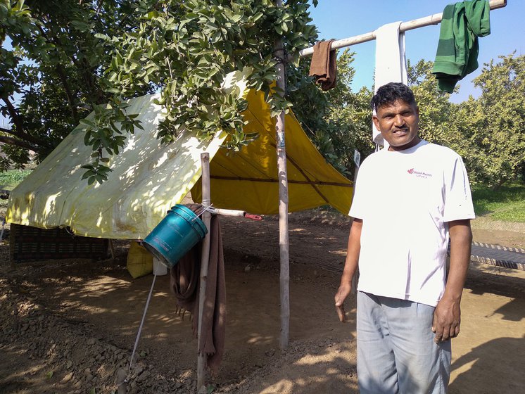 A temporary camp (right) in the orchard