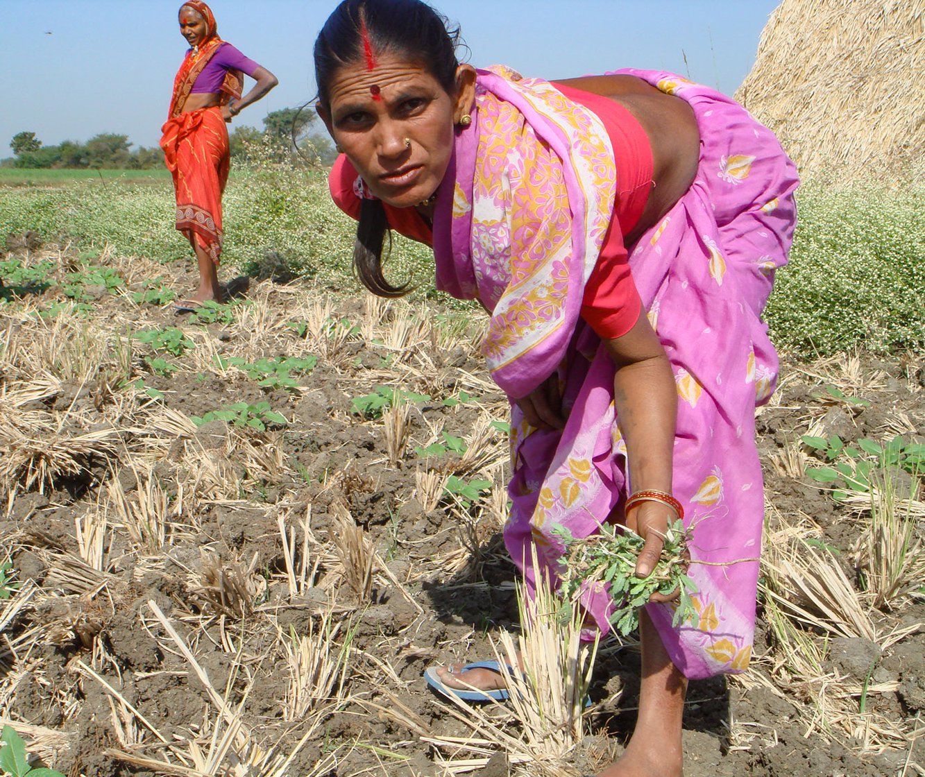 Shakuntalabai and Buribai: their families are asleep when the women get home, and asleep when they leave in the mornings