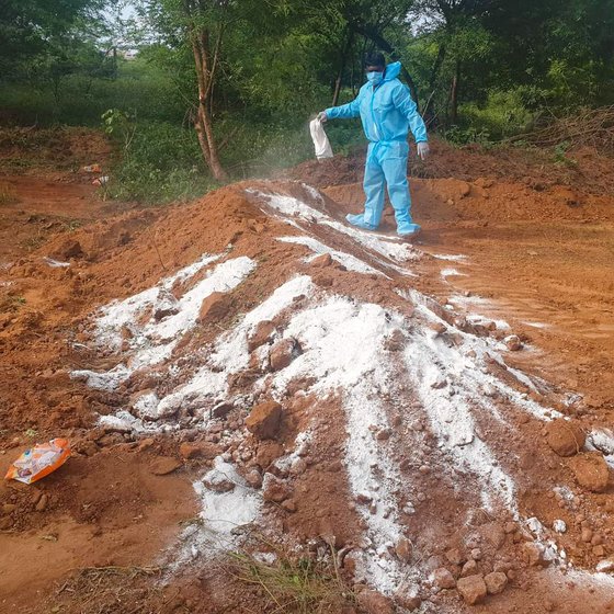 The volunteers lower a body into a pit eight feet deep, cover up the pit and pour a disinfectant powder across the grave

