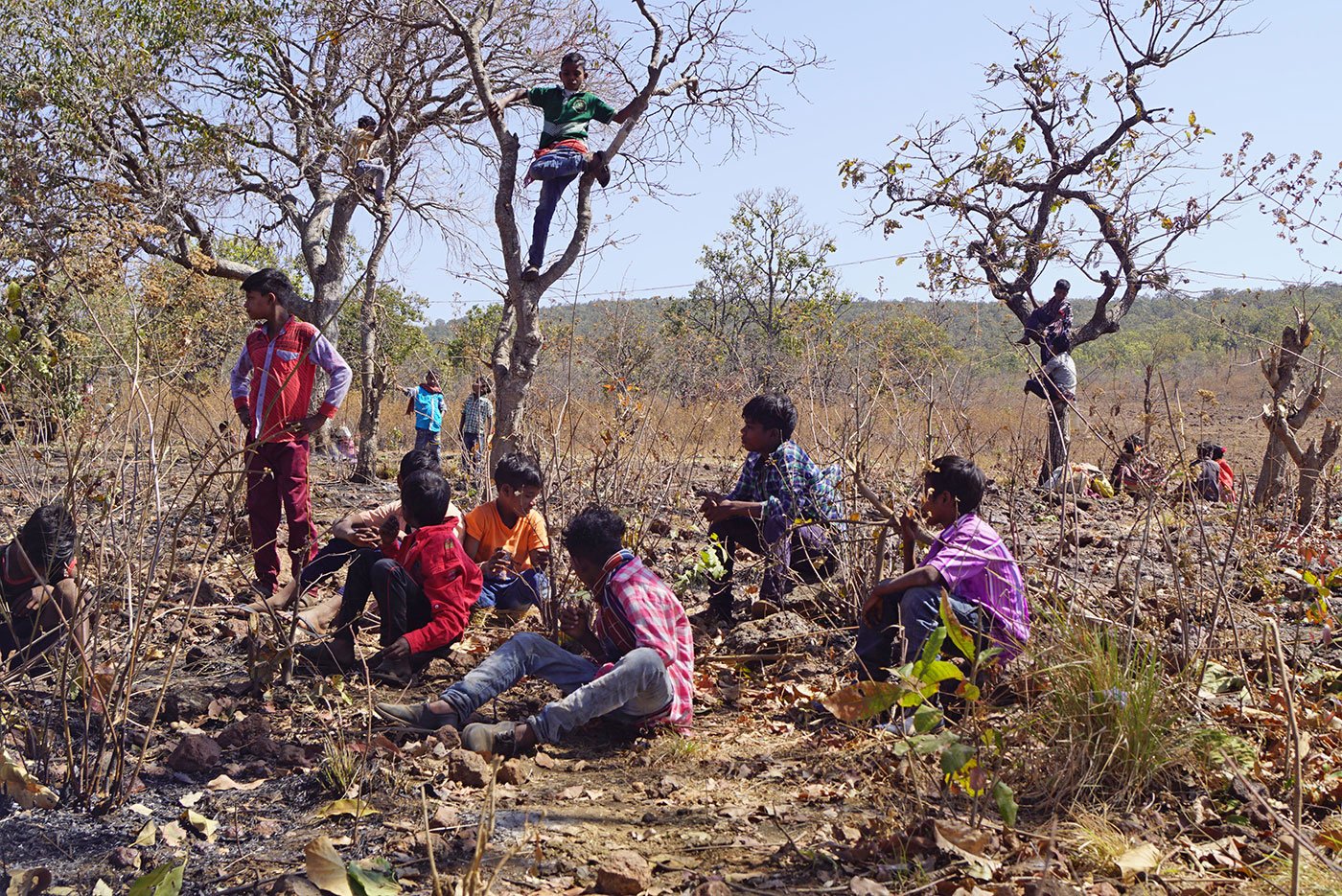 People sitting and resting in the shade of trees