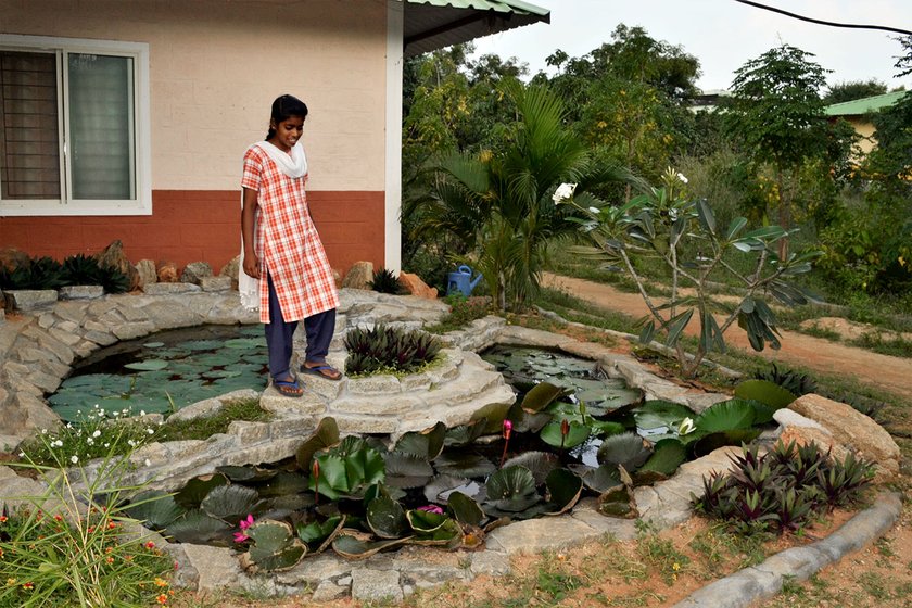 A girl standing on some rocks looking at a garden with lotus flowers