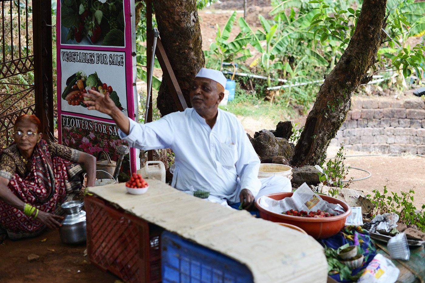 Old couple selling strawberries