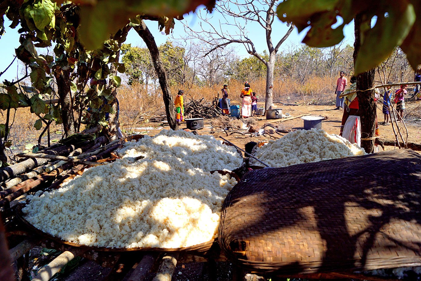 Rice being stored on a wooden platform