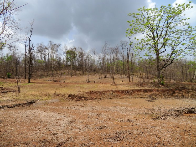 Along with uneven rainfall, falling yields and rising temperatures, the fertility of the soil is also decreasing, farmers in Shahapur taluka say

