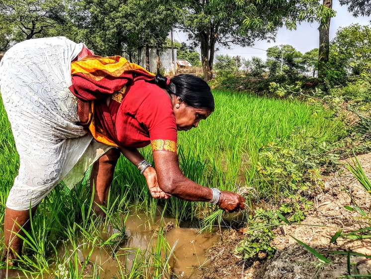 Despite her age, Dugdi Bai Netam must work everyday