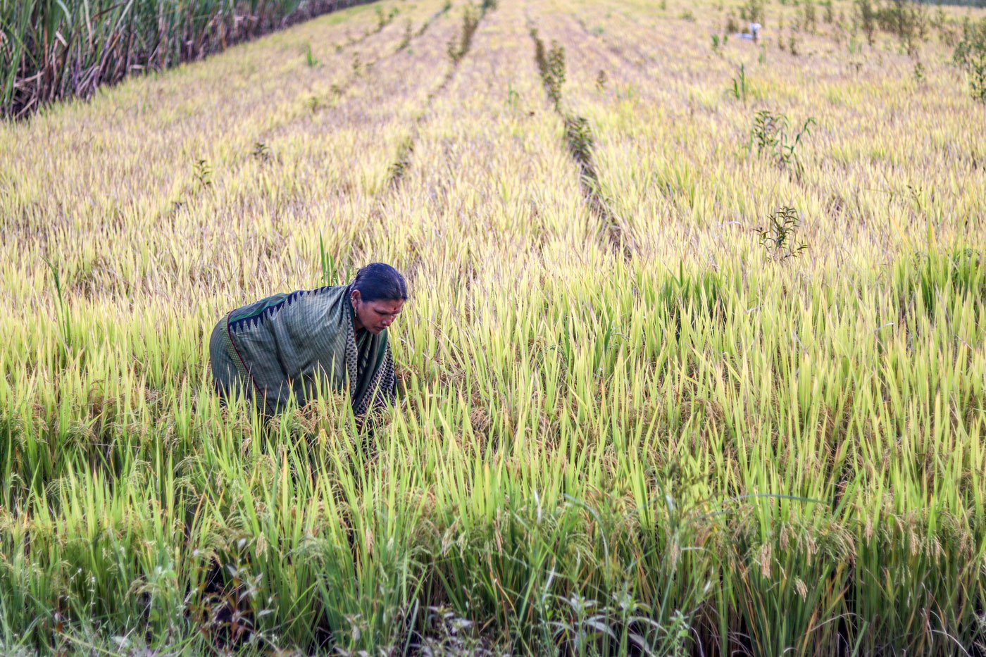 Agricultural labourer Sunita Patil remembers that the flood waters rose to a height o 14 feet in the 2019 floods, and 2021 was no better