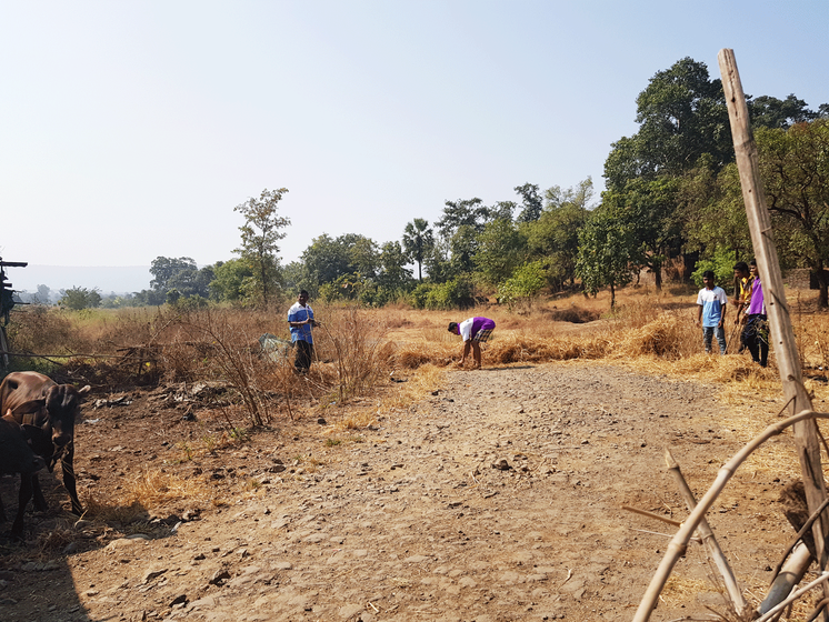 During Diwali, the Warlis also perform a fire ritual where all livestock in the hamlet are rapidly led to step through a paddy-straw fire lit by the community