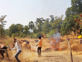 Recalling a recent Diwali in a Warli hamlet