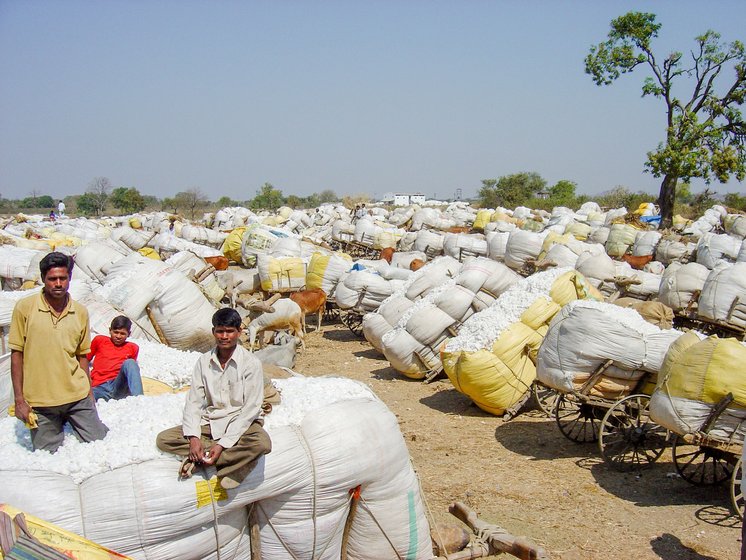 'There are 2,000 trucks at the CCI centre in Ghatanji, but they buy about 20 trucks worth a day,' says Kiran, Kisan Sakhru Pawar's son