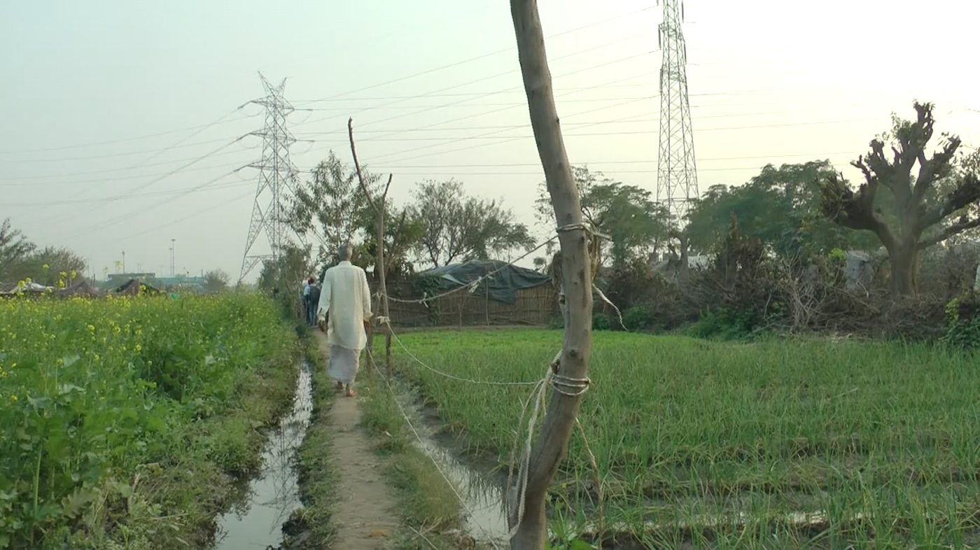 Farmer walking in the field 