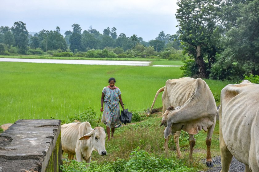 Graci Ekka of Borotika village says, “It was Jyoti who used to take my newborn baby to other lactating women of the village to feed the infant. My baby would not have survived without her.