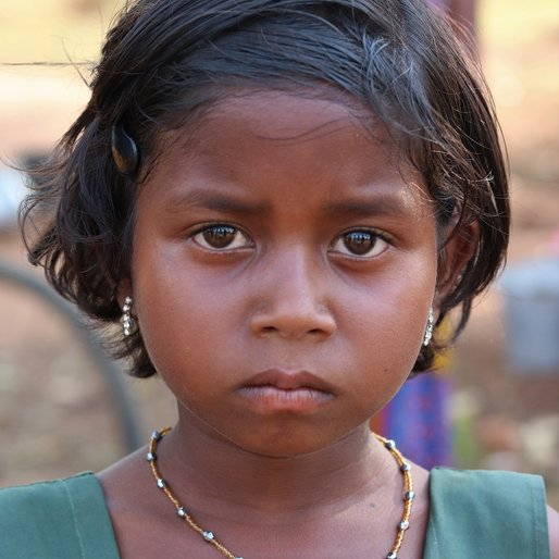 Anupama Munda is a Student (Class 3) from Baizapada, Harichandanpur, Kendujhar, Odisha