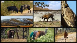 Book of Bandipur