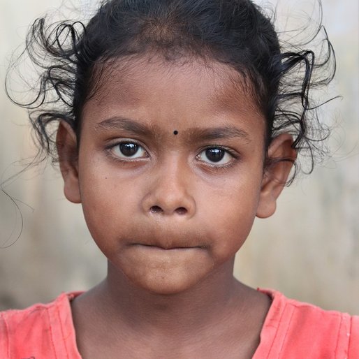 Chinki Samal is a Student (Class 3) from Iping, Krushnaprasad, Puri, Odisha