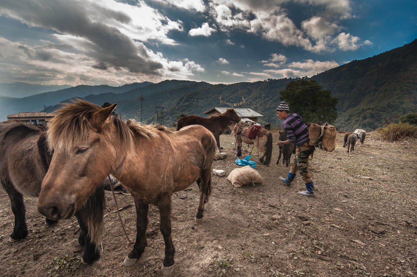 A Brokpa preparing for a journey to Chander village, around 12 kilometres from Lagam.