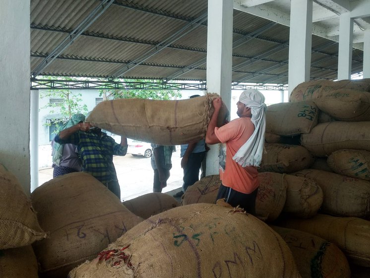 workers helping each other to carry heavy sack of dry mirchi