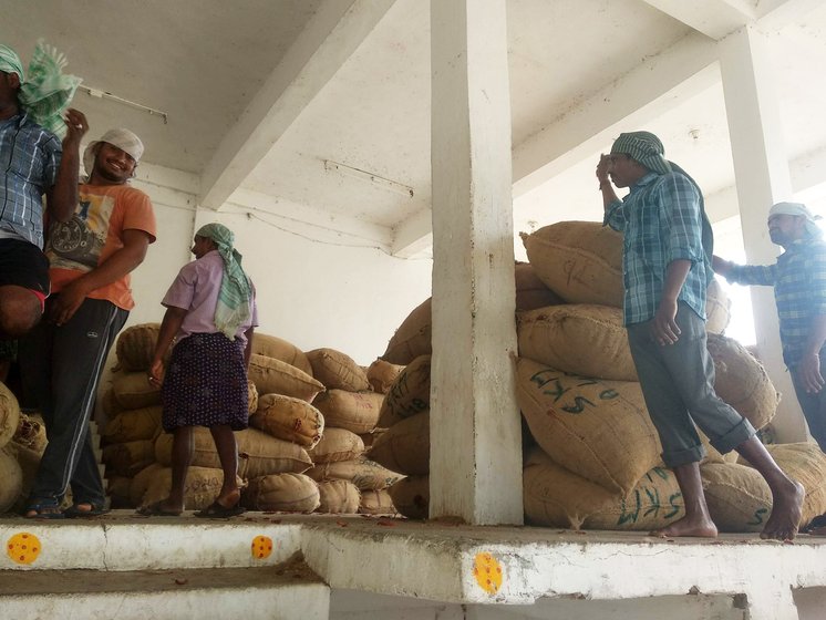 workers in cold storage of mirchi