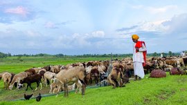 'घरीच रहायला आम्हाला घरच नाहीये'