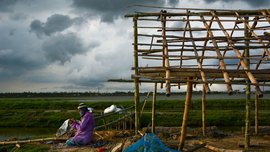 ঝঞ্ঝা বিধ্বস্ত সুন্দরবনে