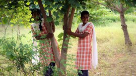 "ಕೃಷ್ಣಗಿರಿಯ ವಿಶೇಷ ಸಂಸತ್"