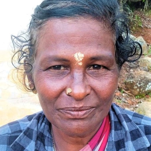 Sushila Devi M. is a Plucks leaves in a tea estate from Periyar Nagar, Kotagiri, Nilgiris, Tamil Nadu