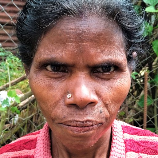 Annakodi is a Plucks leaves in a tea estate from Ambedkar Nagar, Kotagiri, Nilgiris, Tamil Nadu